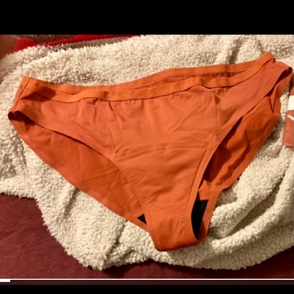ICONUNDIES- BIKINI STYLE- COLOR: SPICE- NWOT - Picture 5 of 6